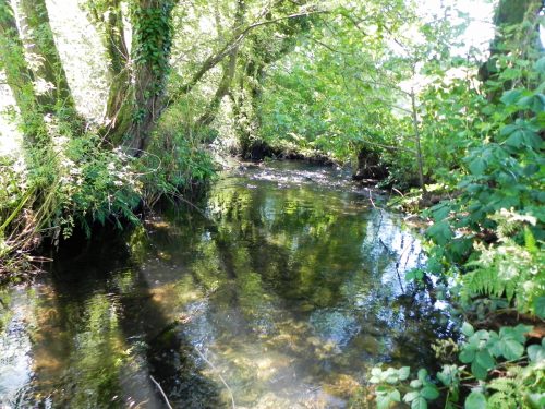 19.-Downstream-from-Gardeners-Bridge-2