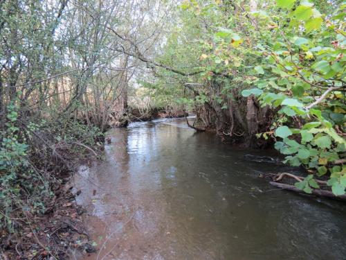 19.-Downstream-from-Kittisford-Accommodation-Bridge-2