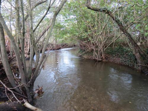 19.-Downstream-from-Kittisford-Accommodation-Bridge-3