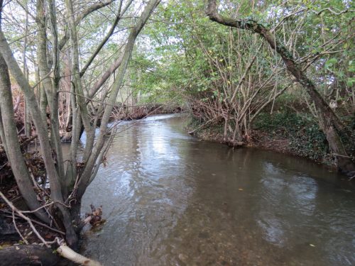 19.-Downstream-from-Kittisford-Accommodation-Bridge-3