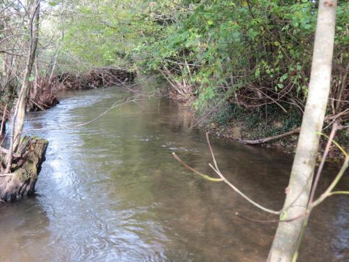 19.-Downstream-from-Kittisford-Accommodation-Bridge-4