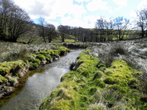 19.-Downstream-from-Long-Holcombe-Water-2