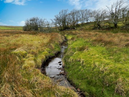 19.-Early-stream-approx-750-metres-from-source-2