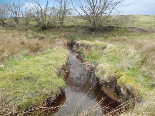 19.-Early-stream-approx-850-metres-from-source