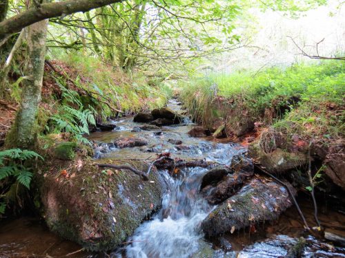 19.-Flowing-below-Beaters-Rocks-2