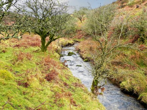 19.-Flowing-below-Mill-Hill-2