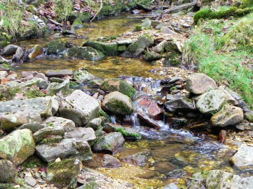 19.-Flowing-through-Mansley-Combe-2