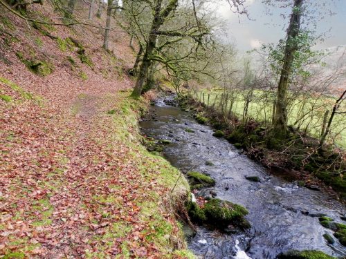 19.-Flowing-through-Tarr-Ball-2