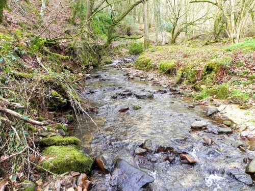 19.-Flowing-through-Underwood-Plantation-2