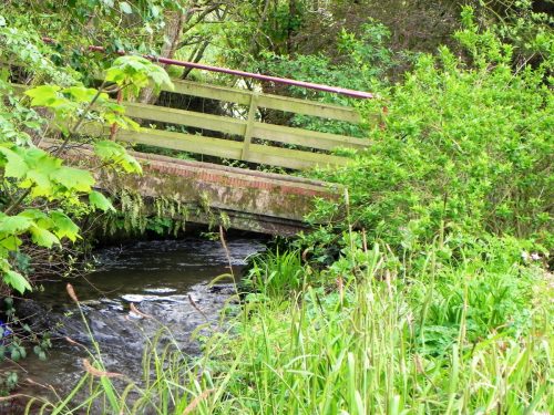 19.-Glen-Haven-footbridge-upstream-face-2