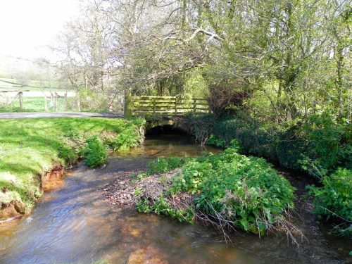 19.-Honicote-House-Bridge-Downstream-face-2