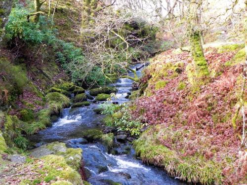 19.-Lank-Combe-Water-flowing-to-Badgworthy-2