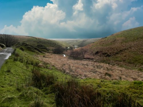 19.-Looking-downstream-from-Pinkery-Farm-2