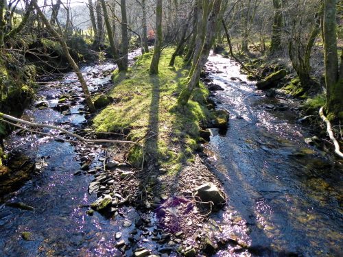 19.-Looking-upstream-from-Lyncombe-Bridge-2