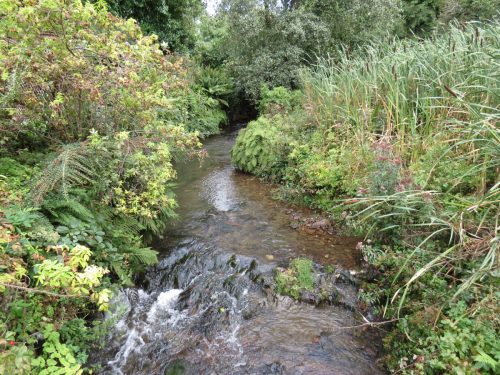 19.-Looking-upstream-from-Manor-Mill-Footbridge