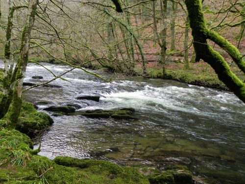 19.-Near-Shircombe-Slade-2