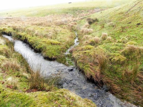 19.-Spring-water-joins-2