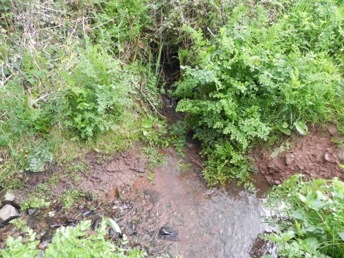 19.-Tivington-Knowle-headstream
