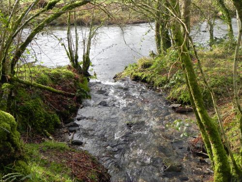 19.-Tributary-stream-near-ROW-Bridge-1898-2