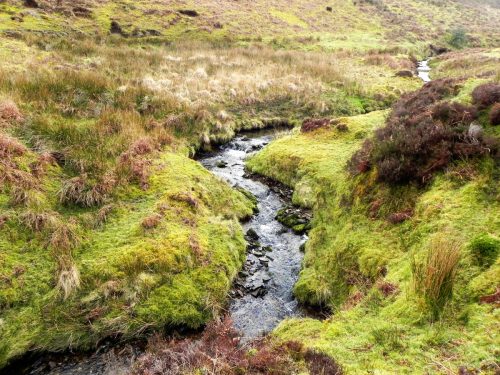 19.-Upstream-from-Colley-Water-2
