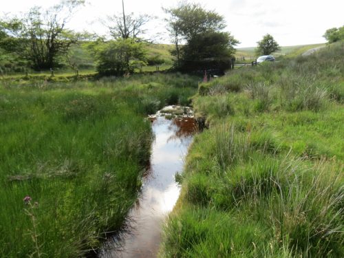 19.-Upstream-from-Exe-Bridge-11