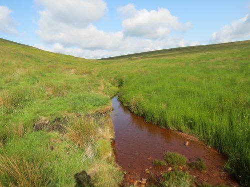 19.-Upstream-from-Exe-Bridge-12