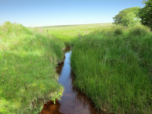 19.-Upstream-from-Exe-Bridge-13