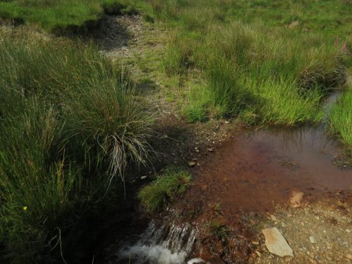 19.-Upstream-from-Exe-Bridge-4