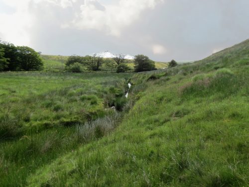 19.-Upstream-from-Exe-Bridge-8