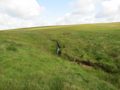 19.-Upstream-from-Exe-Bridge-9