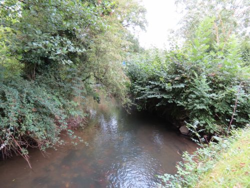 19.-Upstream-from-Greenham-Bridge