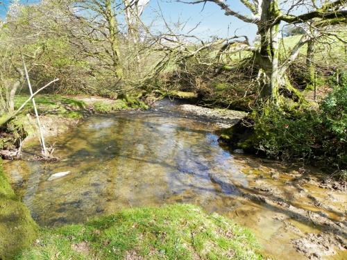 19.-Upstream-from-Heddon-Valley-Mill-2