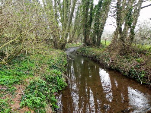 19.-Upstream-from-Lower-Allerford-Footbridge-2