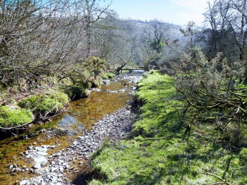 19.-Upstream-from-Shircombe-Farm-2
