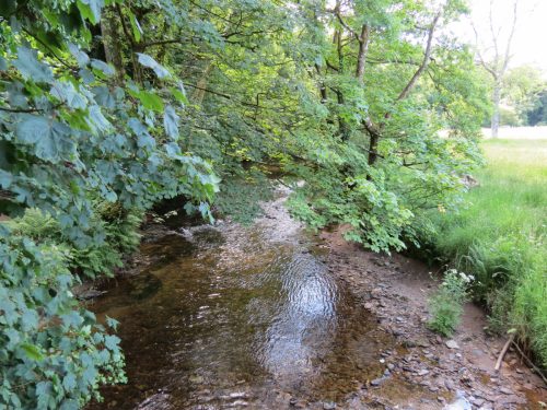 19.-Upstream-from-Vicarage-Bridge-1