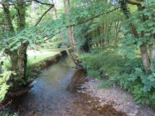 19.-Upstream-from-Vicarage-Bridge-2