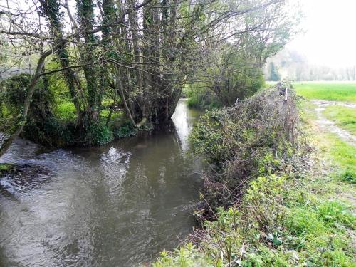 19.-Upstream-from-Washford-Mill-Leat-Weir-2