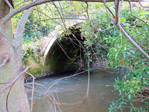 19.-Wellisford-Manor-Bridge-downstream-arch-2