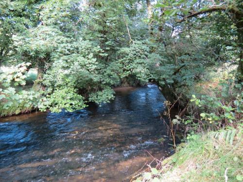1a.-Downstream-from-Lyncombe-below-Lyncombe-Hill-1