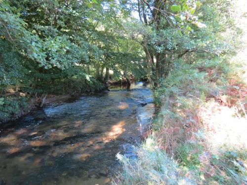 1a.-Downstream-from-Lyncombe-below-Lyncombe-Hill-11