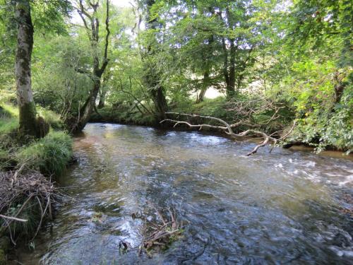 1a.-Downstream-from-Lyncombe-below-Lyncombe-Hill-2