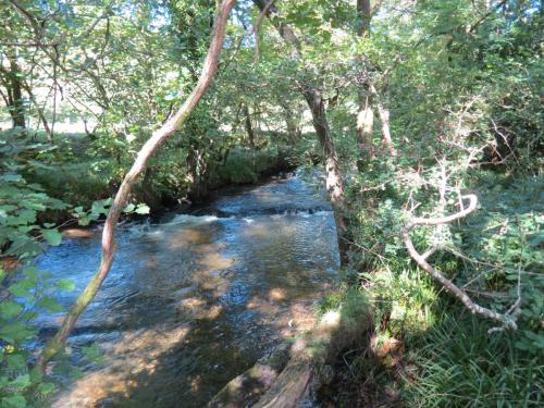 1a.-Downstream-from-Lyncombe-below-Lyncombe-Hill-7