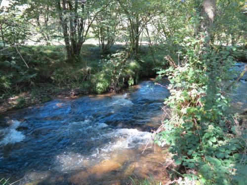 1a.-Downstream-from-Lyncombe-below-Lyncombe-Hill-8