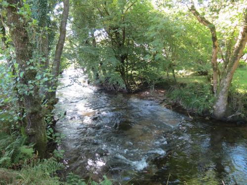 1a.-Downstream-from-Lyncombe-below-Lyncombe-Hill-9