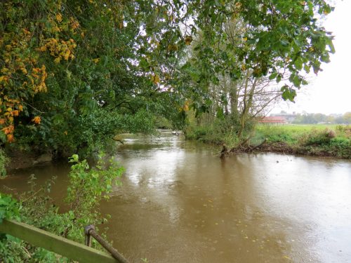 1a.-Looking-downstream-from-French-Weir-Avenue-Pipe-Bridge-2