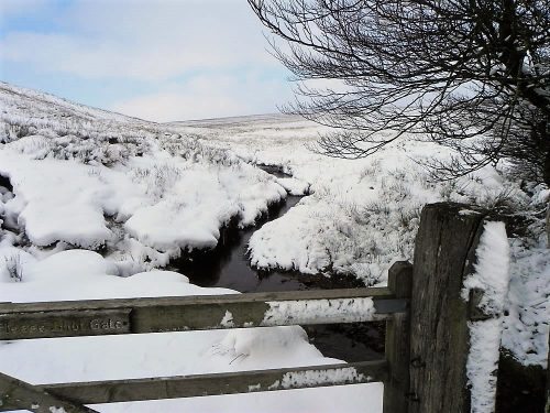 1a.-Looking-upstream-from-Exe-Head-Bridge-2