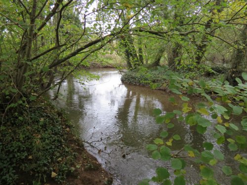 1a.-Looking-upstream-from-Wellisford-Manor-Weir