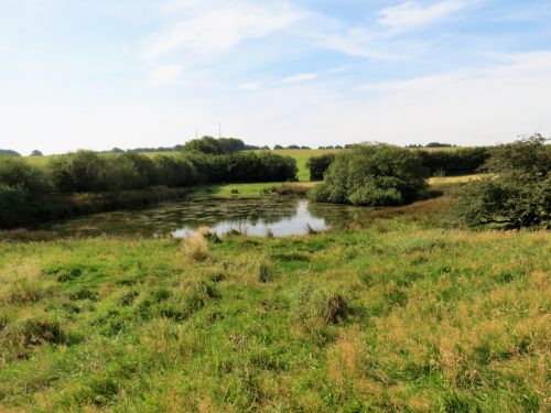 2.-Beverton-Pond-2