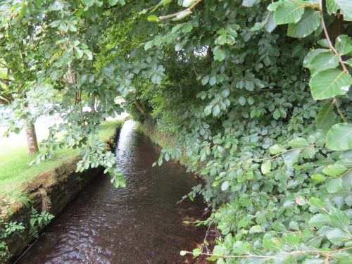 2.-Bridgetown-Mill-Leat-1