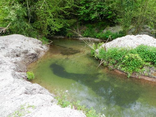 2.-By-Pit-Lane-fish-ponds-leat-3